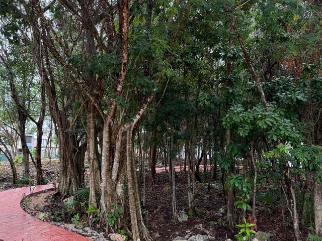 place photo 49