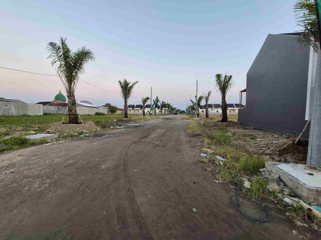 place photo 31
