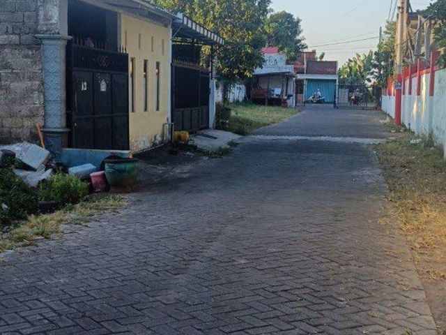 place photo 12