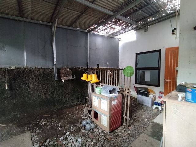 place photo 16