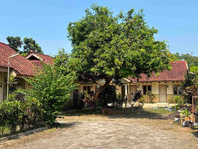 place photo 11