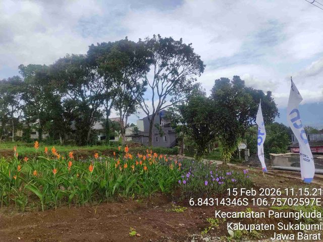 place photo 17