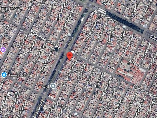 place photo 12