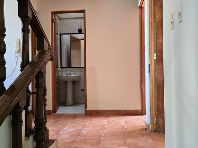 place photo 47