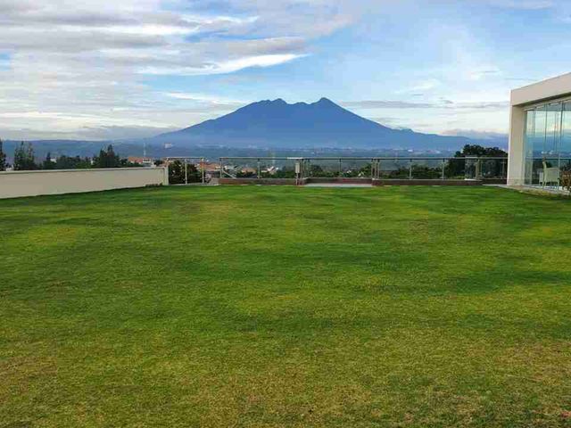 place photo 21