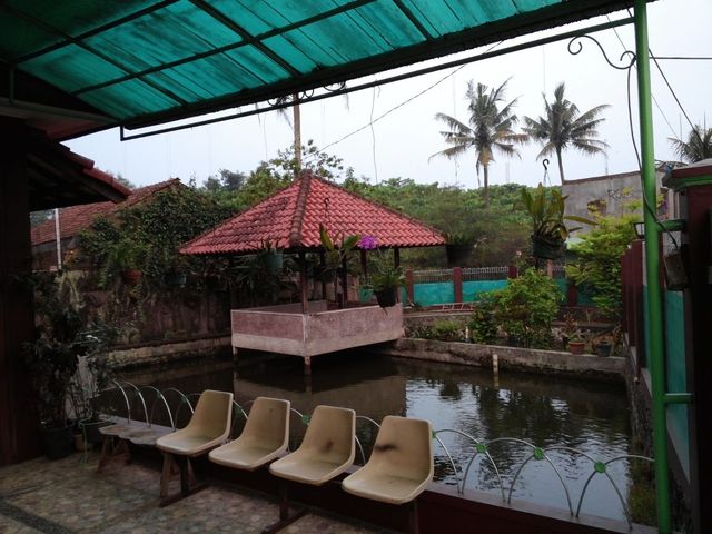 place photo 8