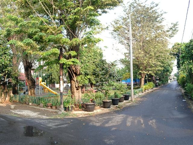 place photo 22