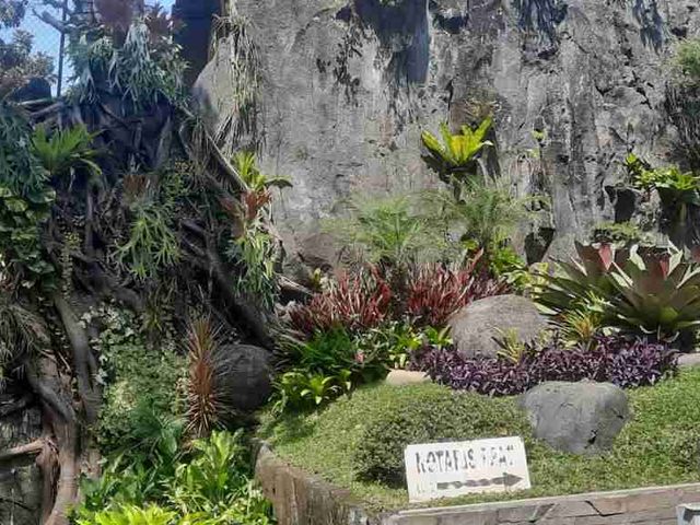 place photo 17