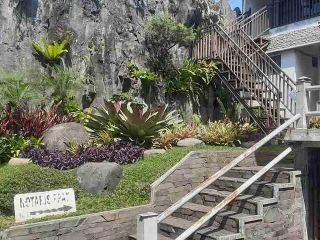 place photo 18