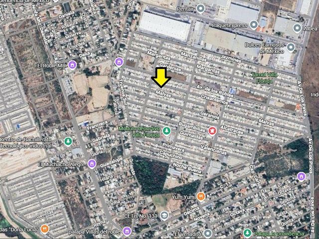 place photo 7