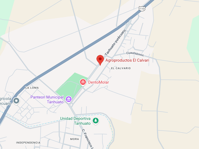 place photo 8