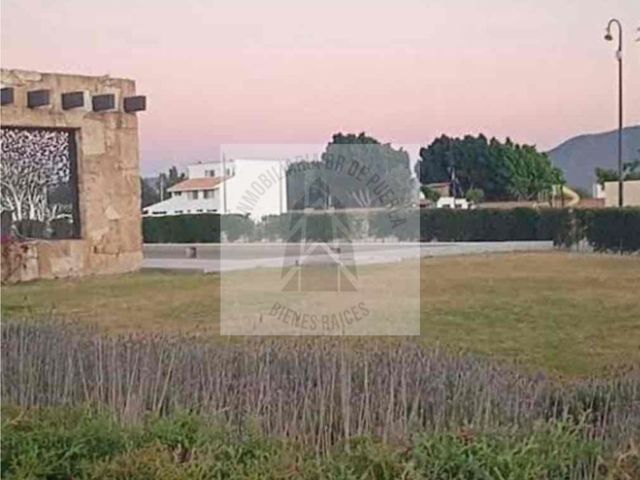 place photo 11