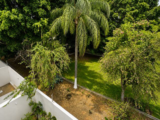 place photo 33