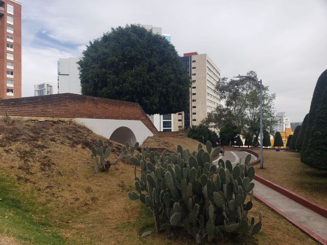 place photo 46