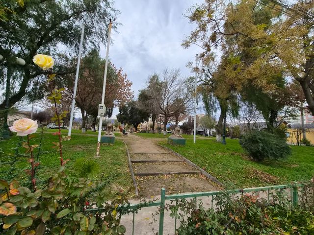 place photo 20