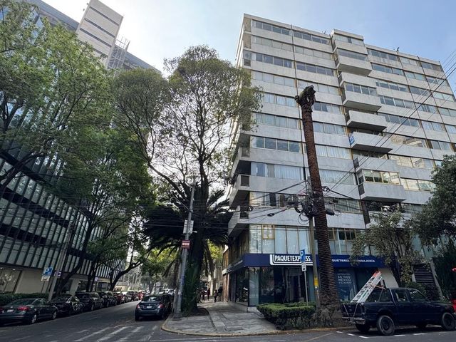 place photo 34