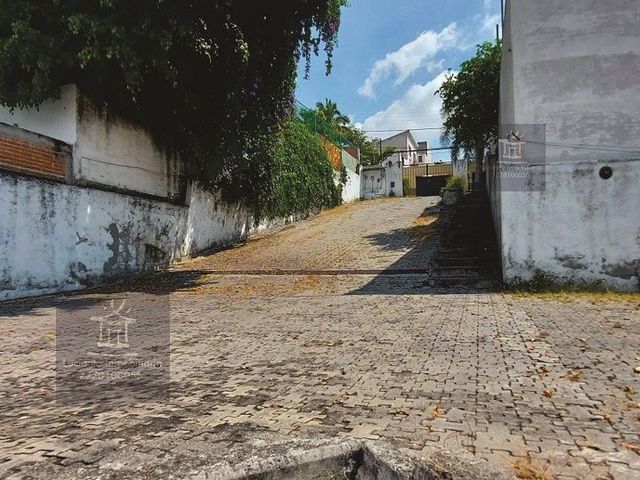 place photo 33