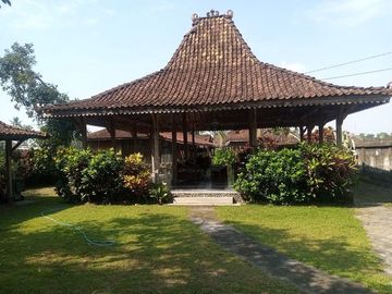 place photo 2