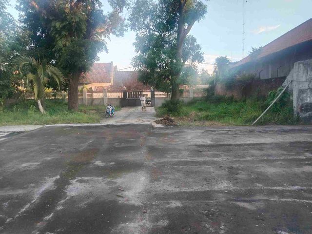 place photo 3