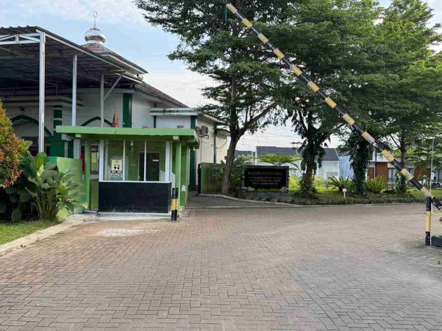 place photo 11