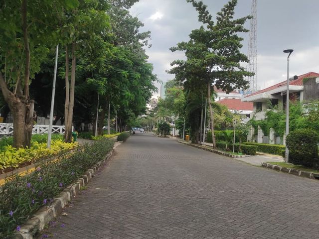 place photo 12