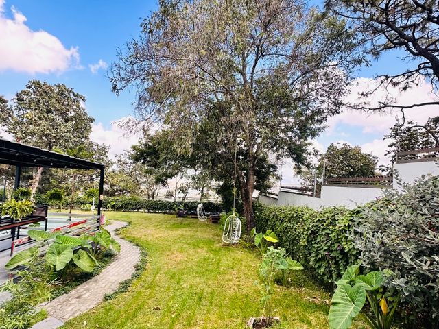 place photo 47