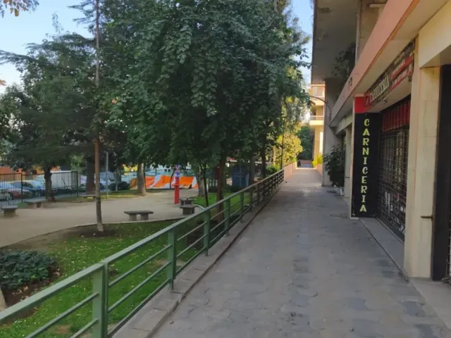 place photo 37