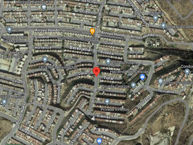 place photo 10