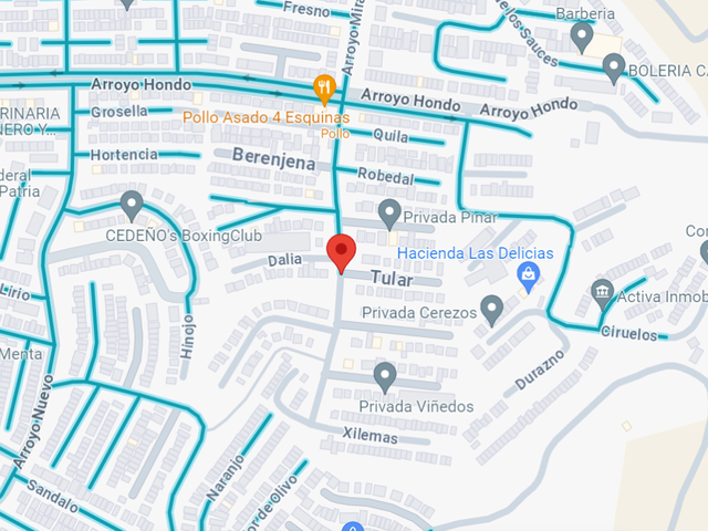place photo 7