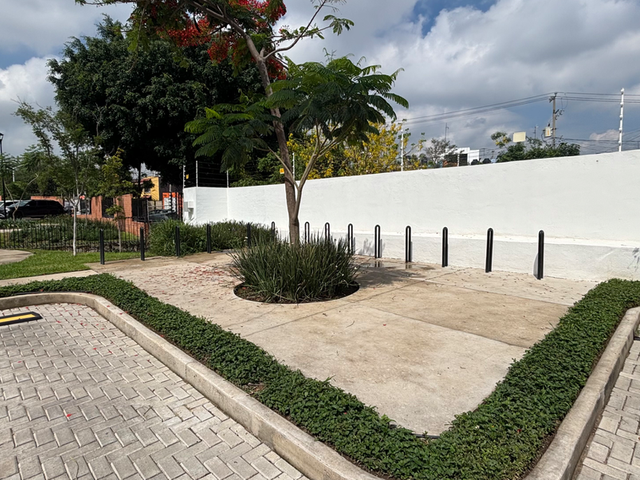 place photo 26