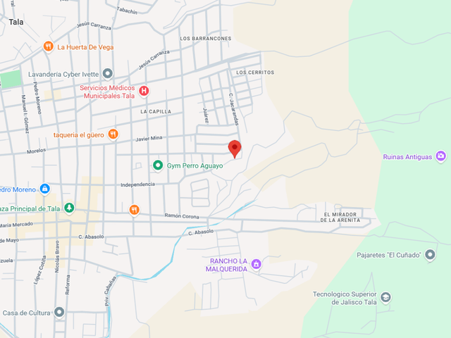 place photo 14