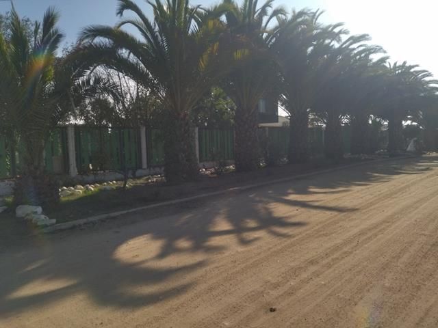 place photo 26
