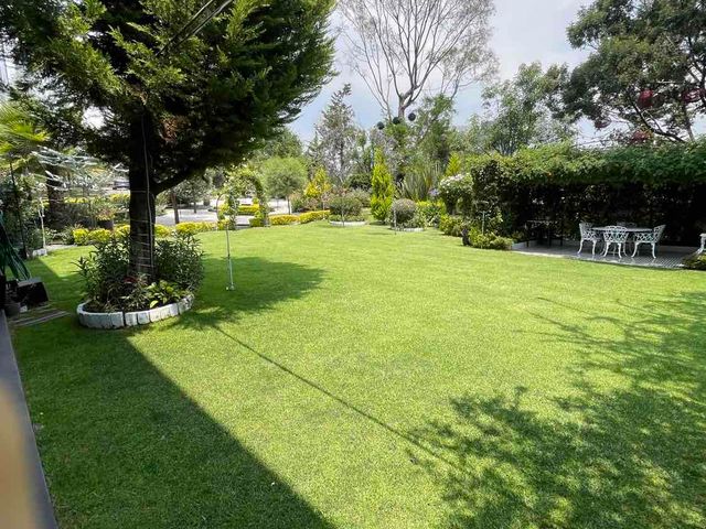 place photo 42