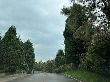 place photo 32