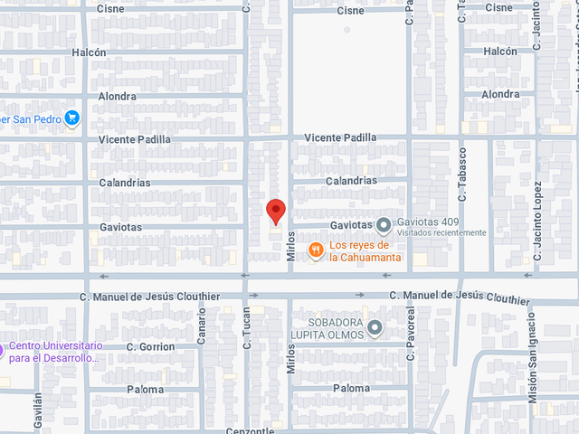 place photo 11