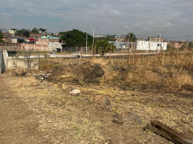 place photo 16