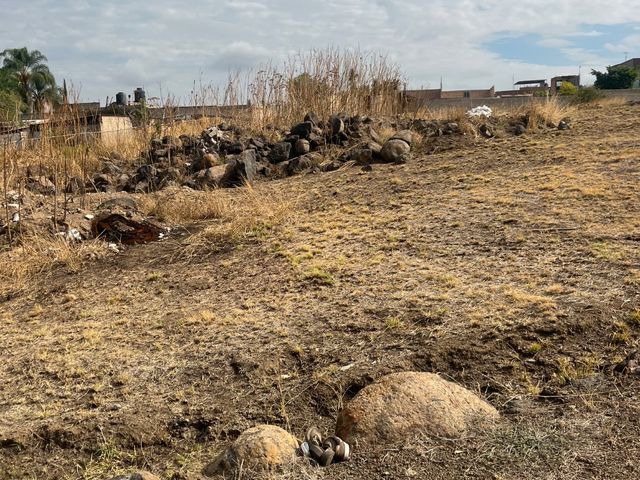 place photo 18