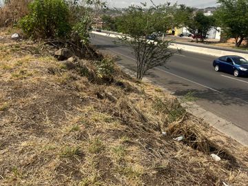 place photo 34