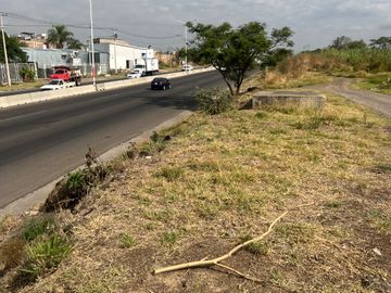 place photo 35