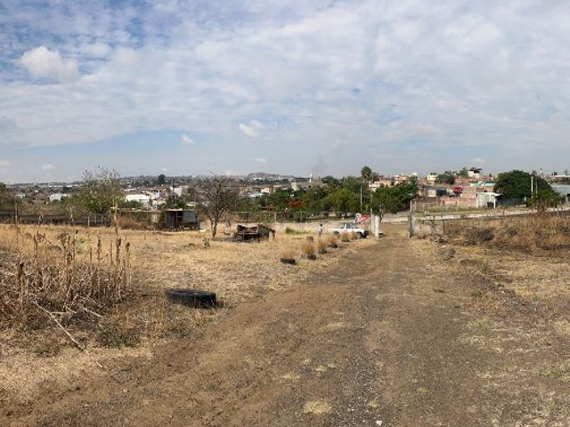 place photo 37