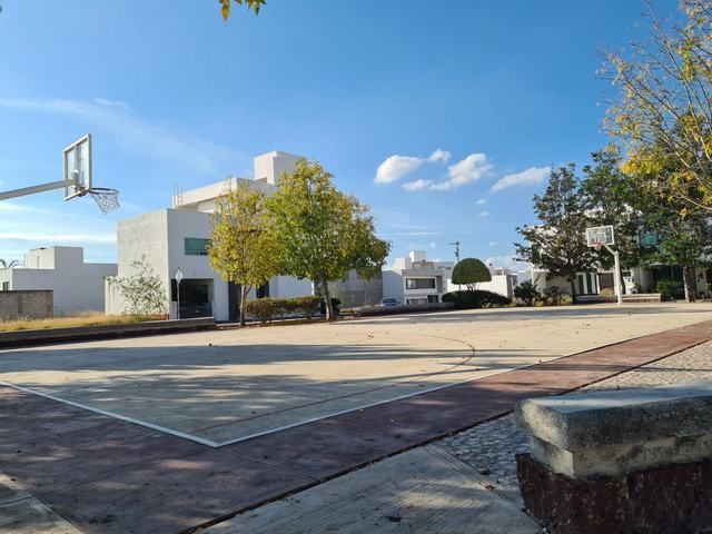 place photo 23