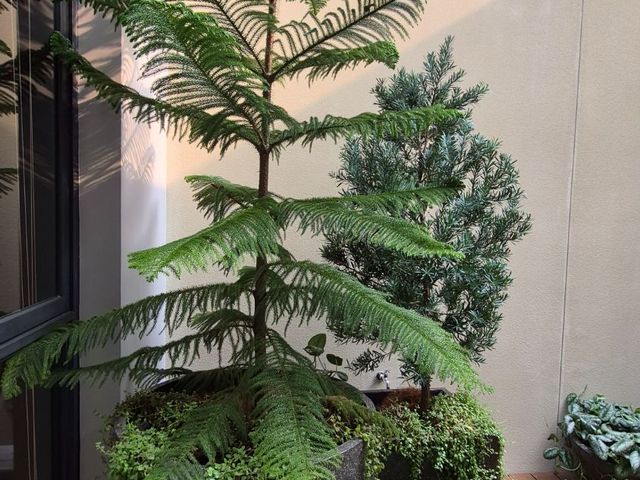place photo 11