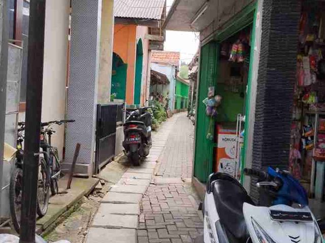 place photo 12