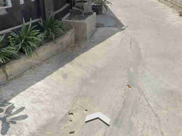 place photo 12