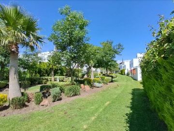 place photo 36