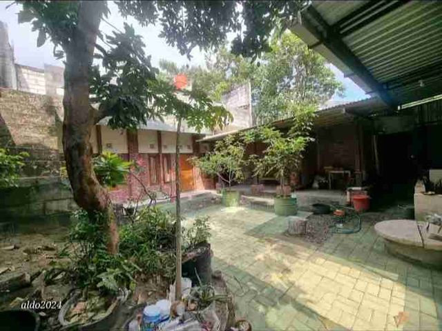 place photo 12