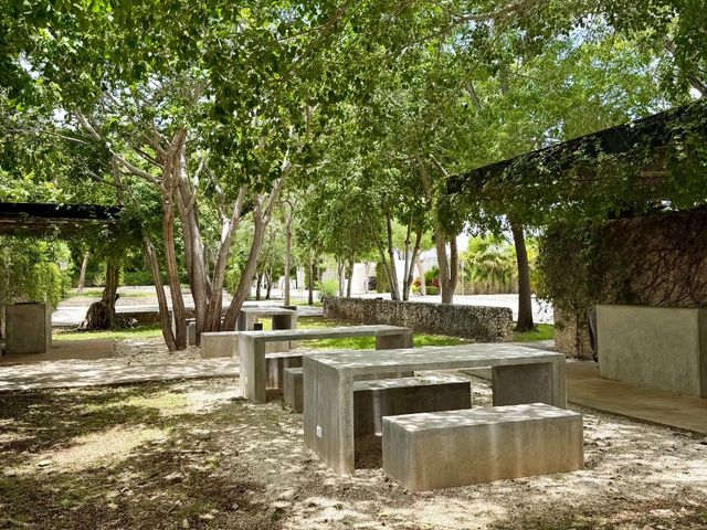 place photo 54