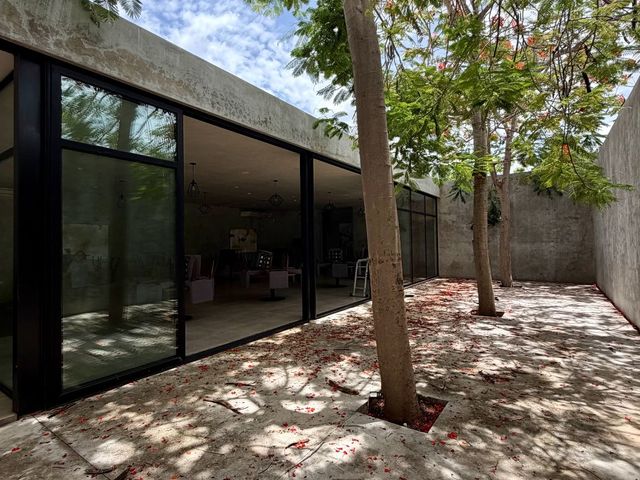 place photo 58
