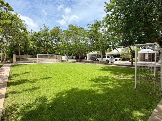 place photo 59