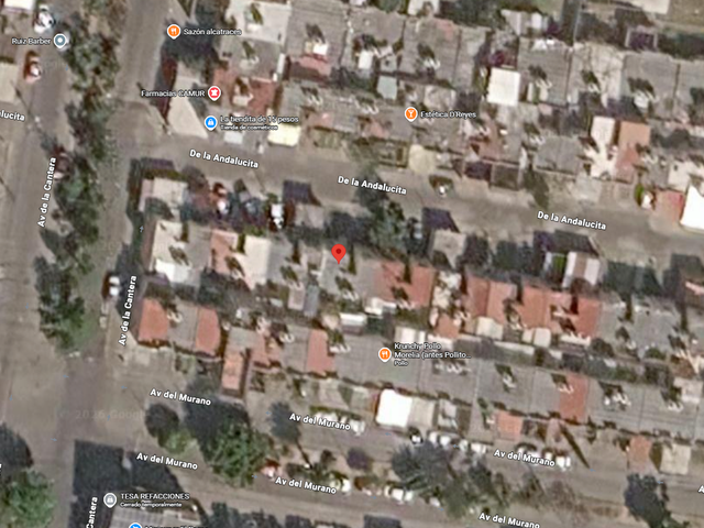 place photo 5